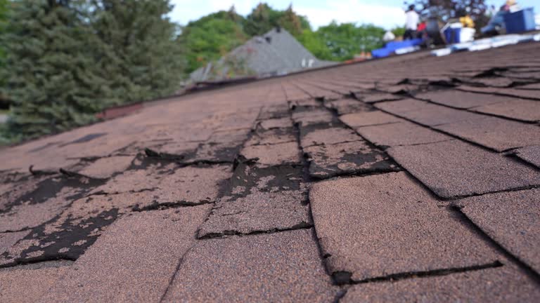 Best Roof Insulation Installation  in Rogue River, OR