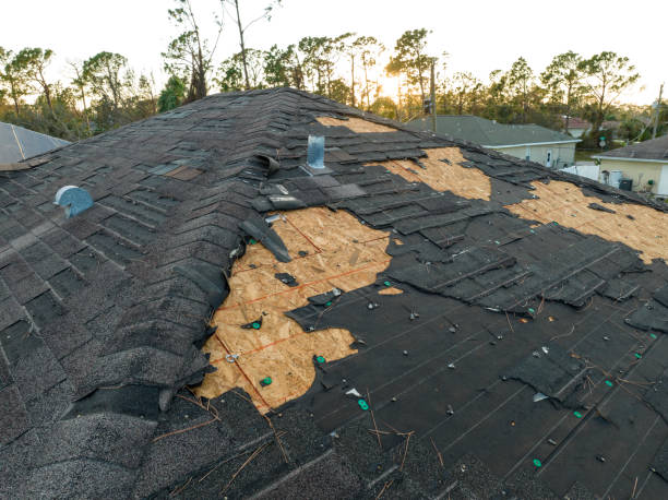 Best Commercial Roofing Services  in Rogue River, OR