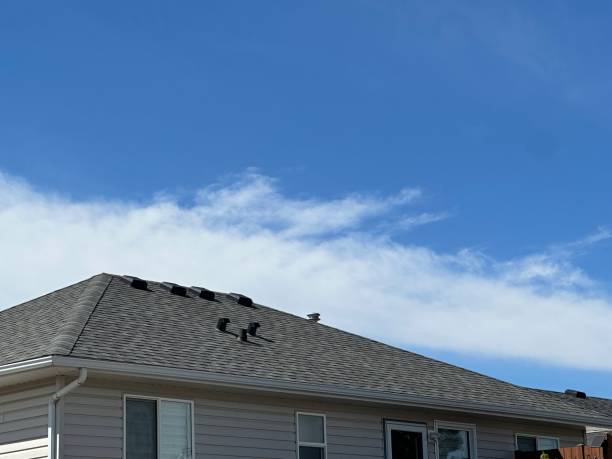 Fast & Reliable Emergency Roof Repairs in Rogue River, OR